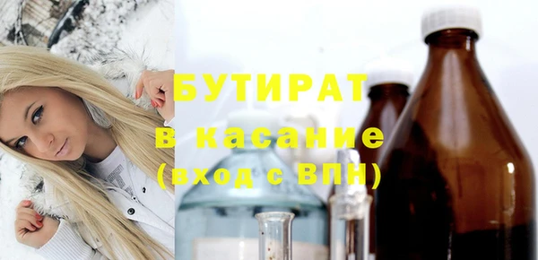 шишки Верея