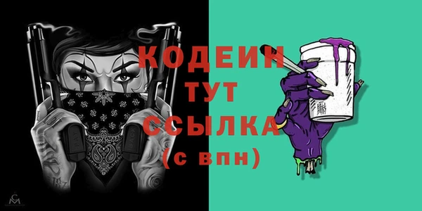 шишки Верея