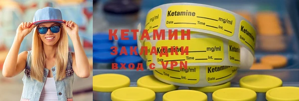шишки Верея