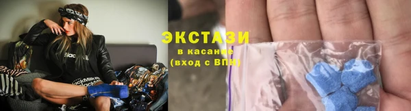 шишки Верея