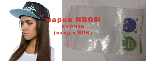 крисы Богородицк