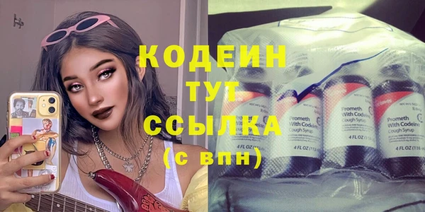 шишки Верея