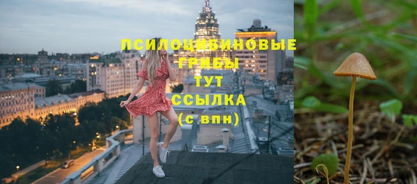 герыч Бородино