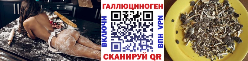 Галлюциногенные грибы MAGIC MUSHROOMS  купить наркоту  Демидов 